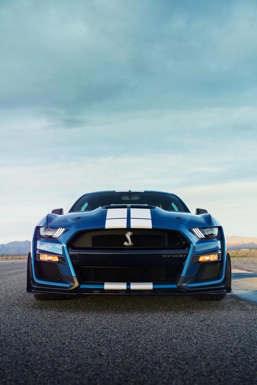  Ford Mustang Shelby GT500 2019 года  (фото 28 из 119)